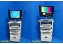 Karl Storz Endoscopy Tower W/ Camera Control 20233020 Camera Head & Light~16991