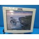 Karl Storz NDS V3C-SX19-R110 19" Patient Monitoring Display Monitor (10812 /813)