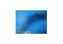 Pilling 505330 Biopsy Punch/Forceps, Fenestrated, 14" ~ 25591