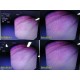 Olympus Endoscopy EVIS CF-140S Video Sigmoidoscope (CF Type, 1405) ~ 27097