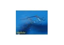 Lot of 2 Novo Surgical V. Mueller Assorted Miniature ENT Forceps ~ 25560