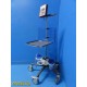 R.Wolf 2223.011 Hysteroscopic Fluid Management Hystero Balance & Cart~ 27718