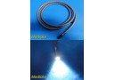 Carl Zeiss 303481-9018 Schott P/N 1429533 Fiber Optic Light Guide,Cord,OR ~29046