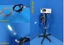 Luxtec LX300 Light Source W/ Head Light, Stand & Cord Caddy ~ 29848