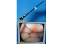 R. Wolf 8934.441 PANOVIEW 10mmx0° Lumina SL Rigid Telescope, Laparoscope ~ 30268