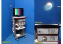 2010 R. Wolf 5512 Endocam Endoscopy Tower W/ CCU,Light Source,Printer,Cart~31156