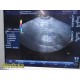 2011 GE E8CS Ref 47236865 Endo-cavity Ultrasound Transducer Probe ~ 32670