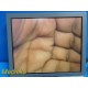Olympus OEV191 19" Color Display LCD Monitor for Medical Use ~ 33894
