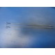 2 x Wolf 8383.240/8393.714 Bipolar Coagulation Forceps for Fallopian Tubes~11375