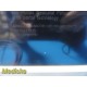 Philips Intellivue MP40 Monitor W/ Leads & MMS Press and CO Modules ~ 35997