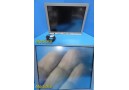 Olympus Model OEV191 19" LCD Flat Panel Monitor | Surgical Display ~ 36233