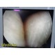 Smith & Nephew DYONICS 3896 ECTRA II Rigid Video Endoscope (4mm x 30°) ~ 36883