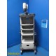 Karl Storz 9601HD Video Endoscopy Cart / Tower W/ Monitor Articulating Arm~36974