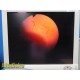 Olympus OSF-3 Fiberoptic Flexible Sigmoidoscope | SIGMOIDOFIBERSCOPE ~ 37262