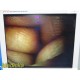 Smith & Nephew Dyonics 3628 Rigid Video Arthroscope W/ Case ~ 37881