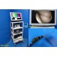 HD Arthroscopy Tower System W/ Camera Control OLED Light Source~ 36258