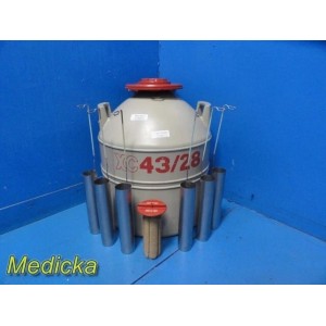 https://www.themedicka.com/23497-290562-thickbox/mve-xc-43-28-cryogenic-freezer-tank-43-liter-36482.jpg