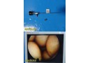 Richard Wolf 8880.401 Panoview Arthroscope 4mm x 0° W/ Fiber Light Adapter~37943