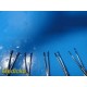 Lot of 10 Magill Adult Catheter Forceps | Length 8" | Stainless Steel ~ 38056