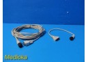 Natus Nicolet 085-461202 Neuro Cable Lot &ndash; Compact AMP 10M+Adapter Cable ~ 38328