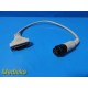 Natus Nicolet 085-461202 Neuro Cable Lot – Compact AMP 10M+Adapter Cable ~ 38328