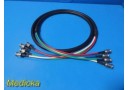 CANARE V4-3C RGB 75&Omega; Coaxial Video Cable (6 ft) BNC Component Cable ~ 38765