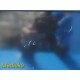 2014 Nihon Kohden Life Scope BSM-6501B Monitor W/ AY-651P & New Leads ~ 38451