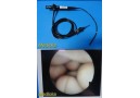 ACMI ACD-31 Flexible Choledoscope Fiber Optic Scope w/ Light Cable ~ 39652