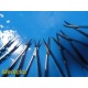 7x Ophthalmic/Micro Surgery Instrument Set | Westcott, STORZ, Katena ~ 39766