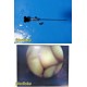 Stryker 344-70, 4mm 70° Arthroscope , Rigid Endoscope Telescope w/ Adapter~39341