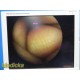 Stryker 677-31 4mm 30° Rigid Endoscope Arthroscope w/ Light Adapter ~ 39342