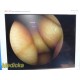 Stryker 677-31 4mm 30° Rigid Endoscope Arthroscope w/ Light Adapter ~ 39342