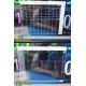 Philips IntelliVue MX800 Monitor w/ X2 Monitor M3012A Module, Dock & Leads~39945