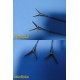 15x R. Wolf 8393‑Series Laparoscopic Inserts | Scissors, Graspers, Babcock~39964