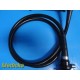 Olympus CF-P20S Flexible Scope ~ 40570
