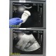 Philips C5-2 40R (4000-0574-06) Curved Array Ultrasound Transducer Probe ~ 21278