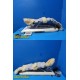 Danninger Med Danniflex 450 Device W/ Garments ~ 33065
