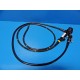 OLYMPUS CF-10L (CF10L) Colonoscope / Flexible Endoscope ~13830