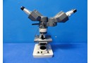 AMERICAN OPITICAL 1130 / MICROSTAR MICROSCOPE W/ DUAL HEADS & 4 OBJECTIVES~15958