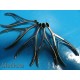 10x Pakistan, GESCO, Minfrva Assorted Nasal speculums *LOT of 10* ~17426