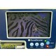 Verathon Glidescope Portable GVL W/ 0570-0185 Camera Blade & Stand ~ 17622