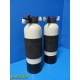 2X Parks International Sta-Rite RT-618 Water Treatment System Carbon Tanks~20792