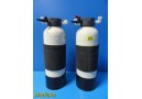 2X Zyzatech Sta-Rite RT-618 (Hemodialysis) Water Systems Carbon Tanks ~ 20790