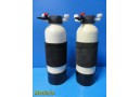2X Zyzatech Sta-Rite RT0618 Hemodialysis Water Systems Carbon Tanks ~ 20748