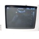 ATL C8-5 14R Micro-Convex Pediatric Small Parts Vascular MSK OB Probe ~ 12837